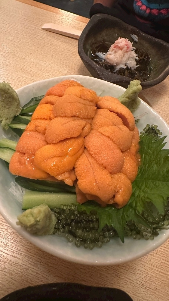 一条 れん