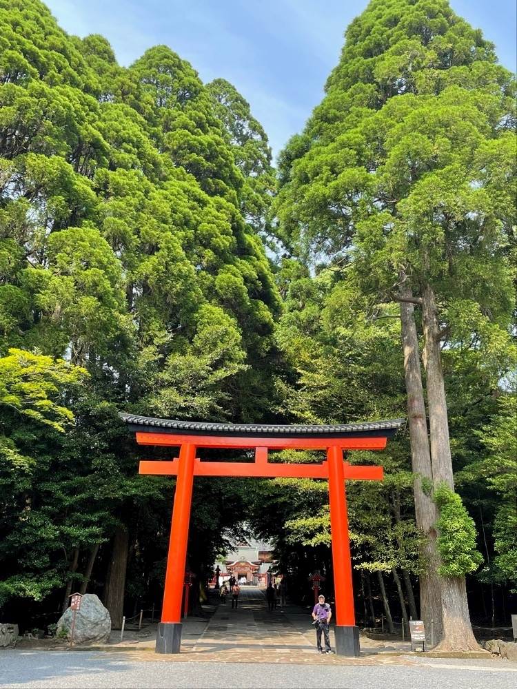 まいか