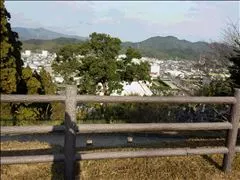 桃瀬 百華