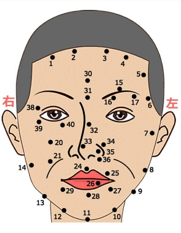 らん
