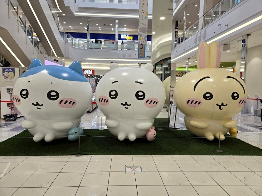 エミ （スタッフ）