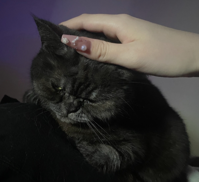 サラ