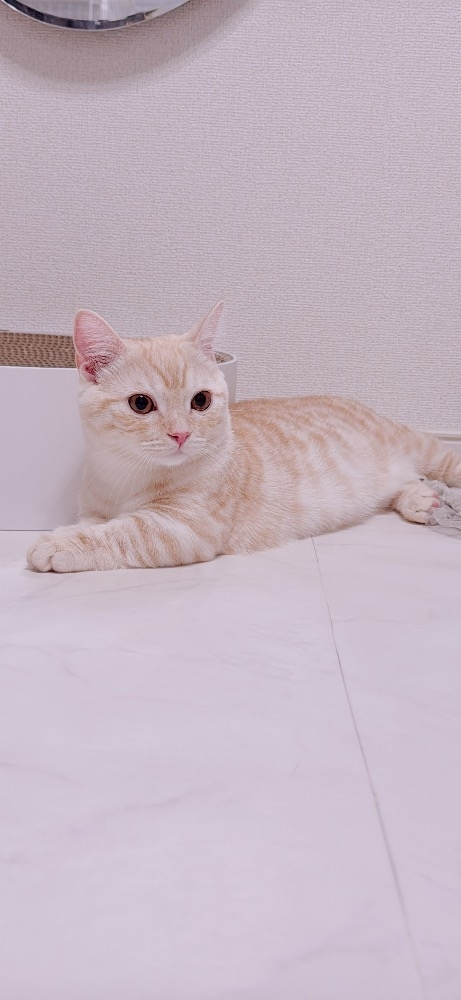 るか