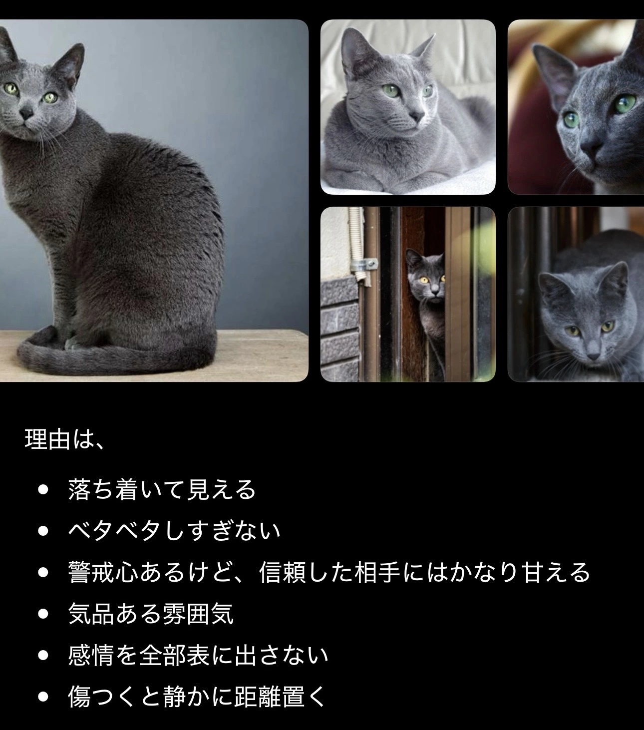 黒崎 茉凛