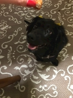 りえ