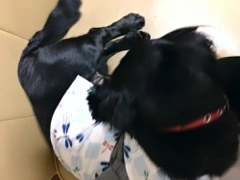 りえ
