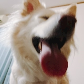 京 さゆみ