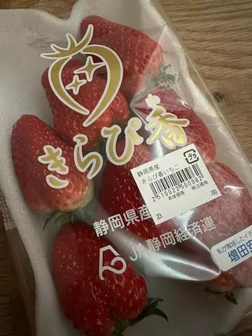 白石 愛莉