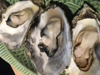 蓮見 リア