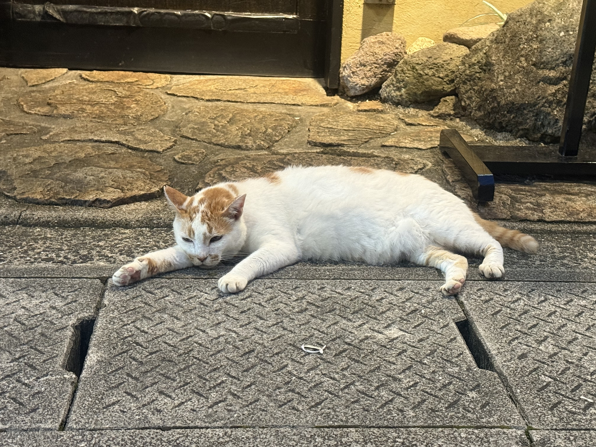 かえで