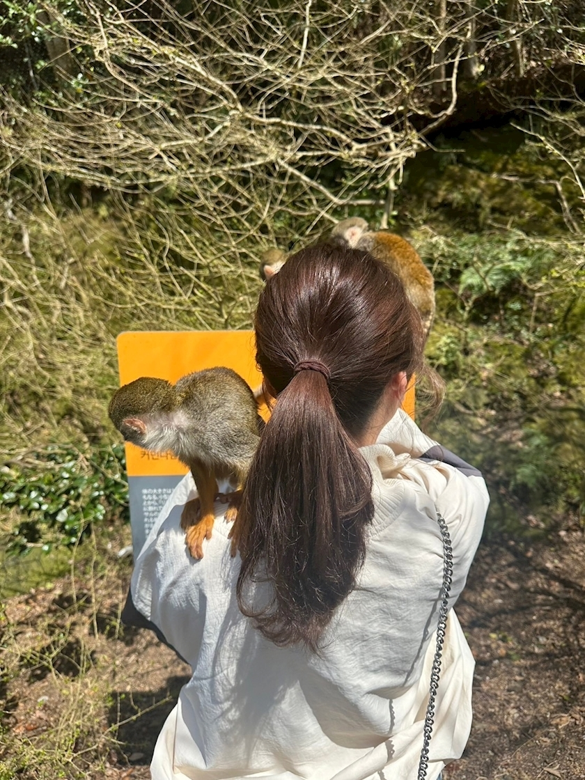 夢咲 さくら