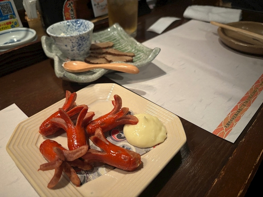 西蓮寺 ひかる