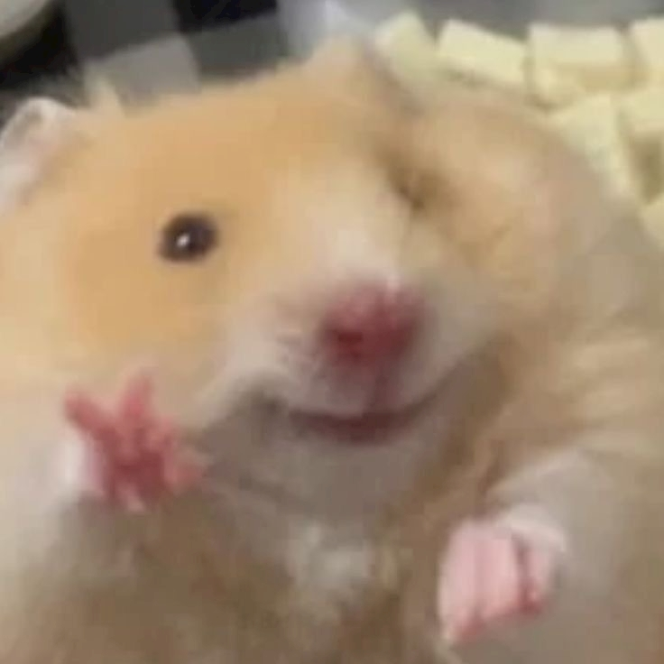 本宮 らら