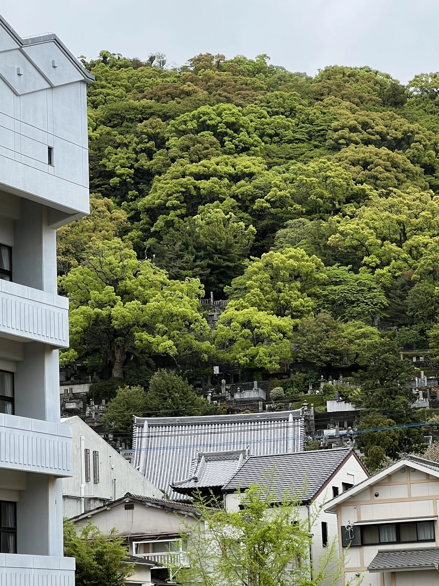 藤本 祐子ママ