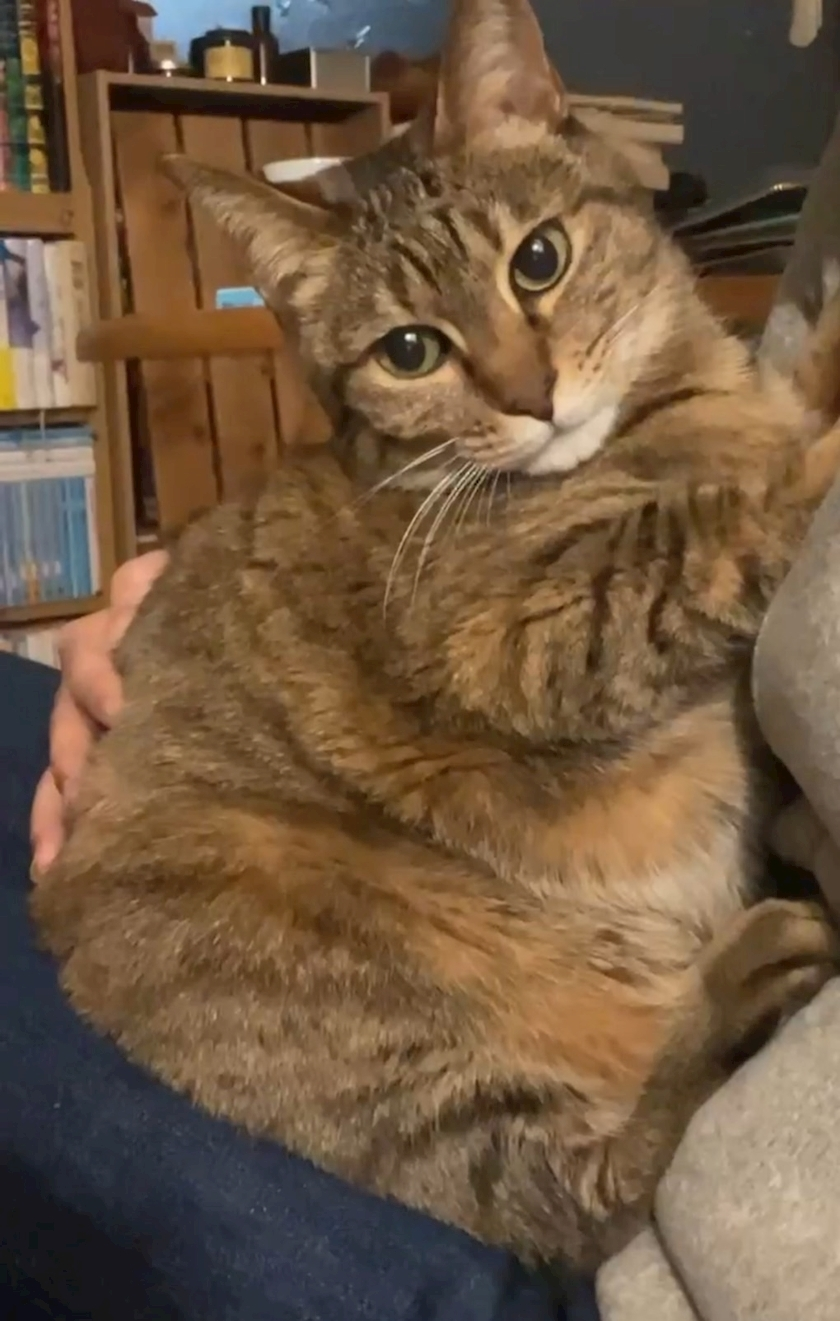 サラ