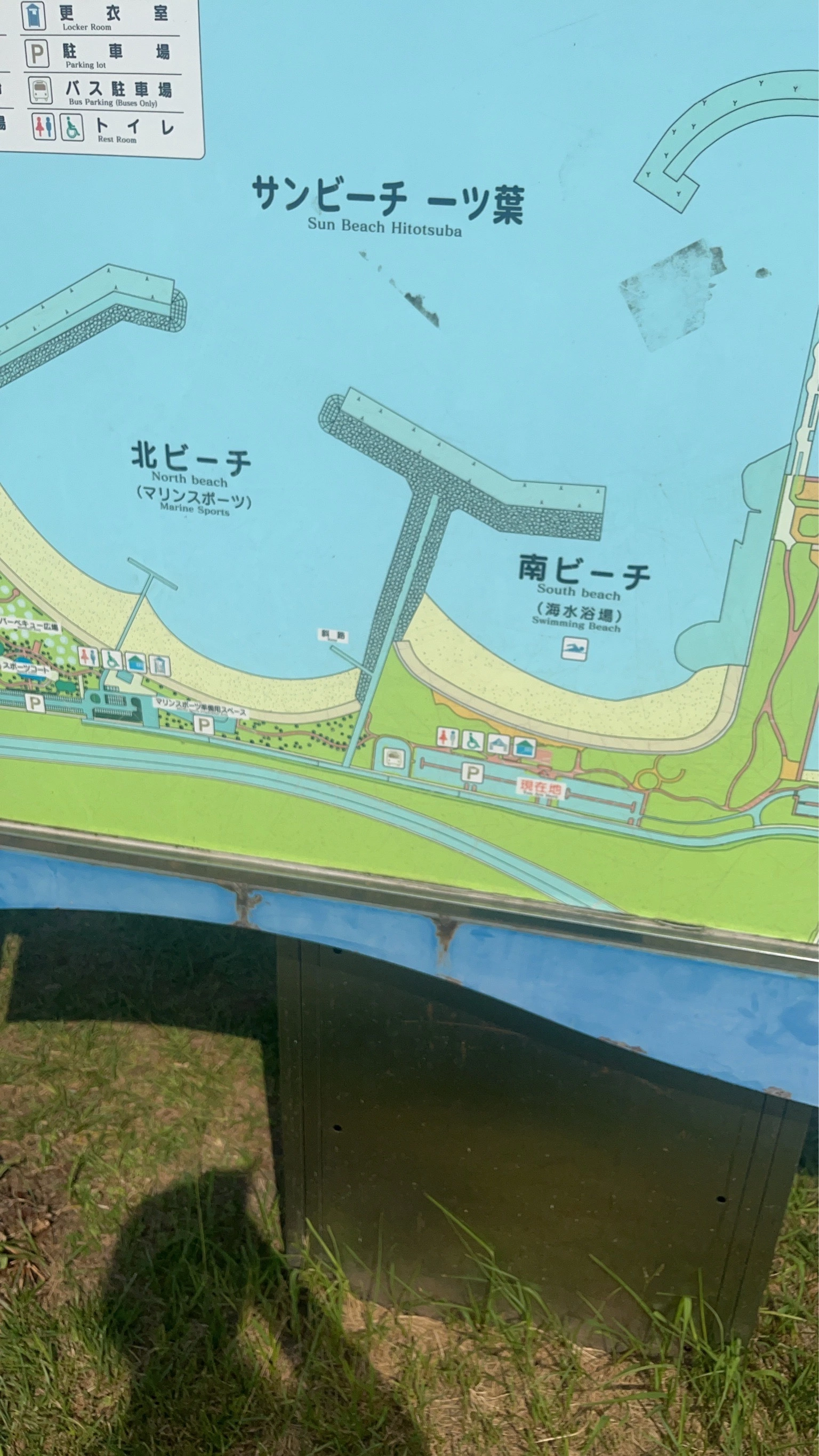 大尻 桃