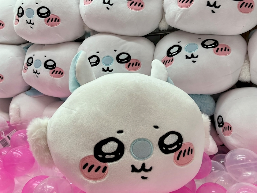 せいら