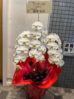 里奈
