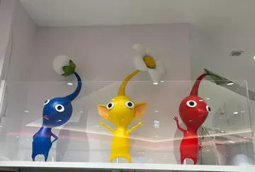 七星 夏純