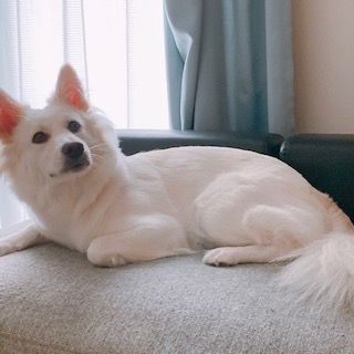 京 さゆみ