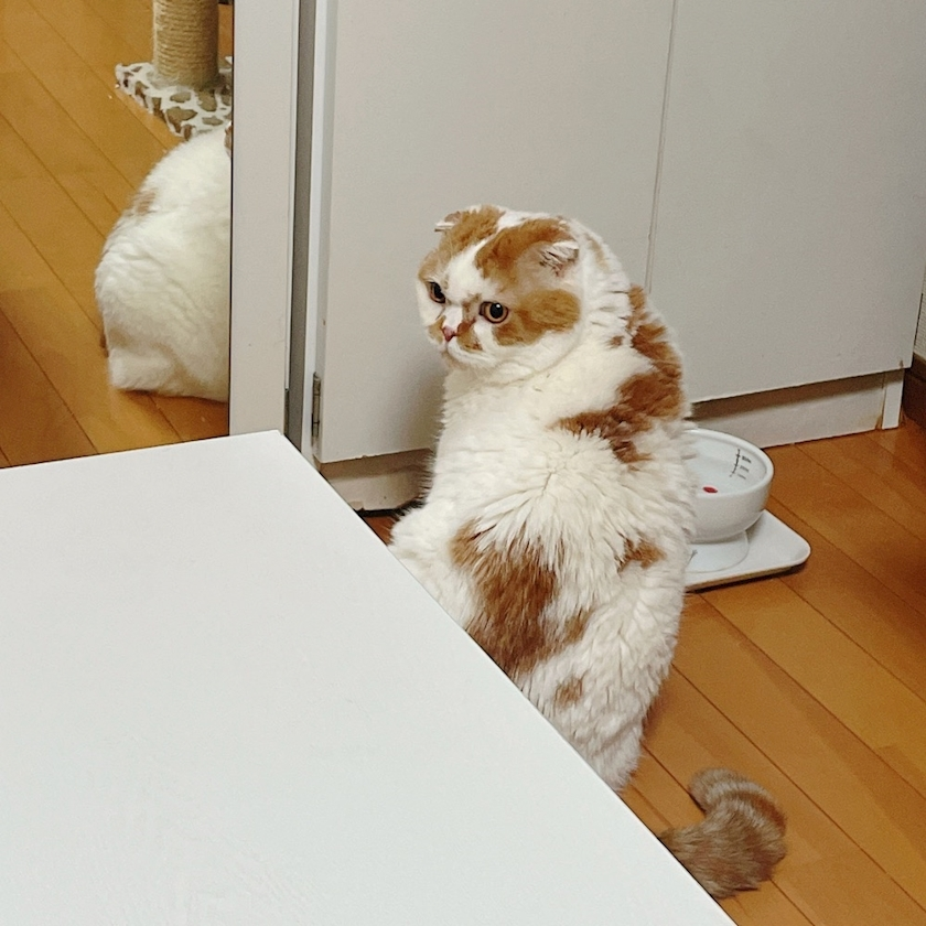 れみ