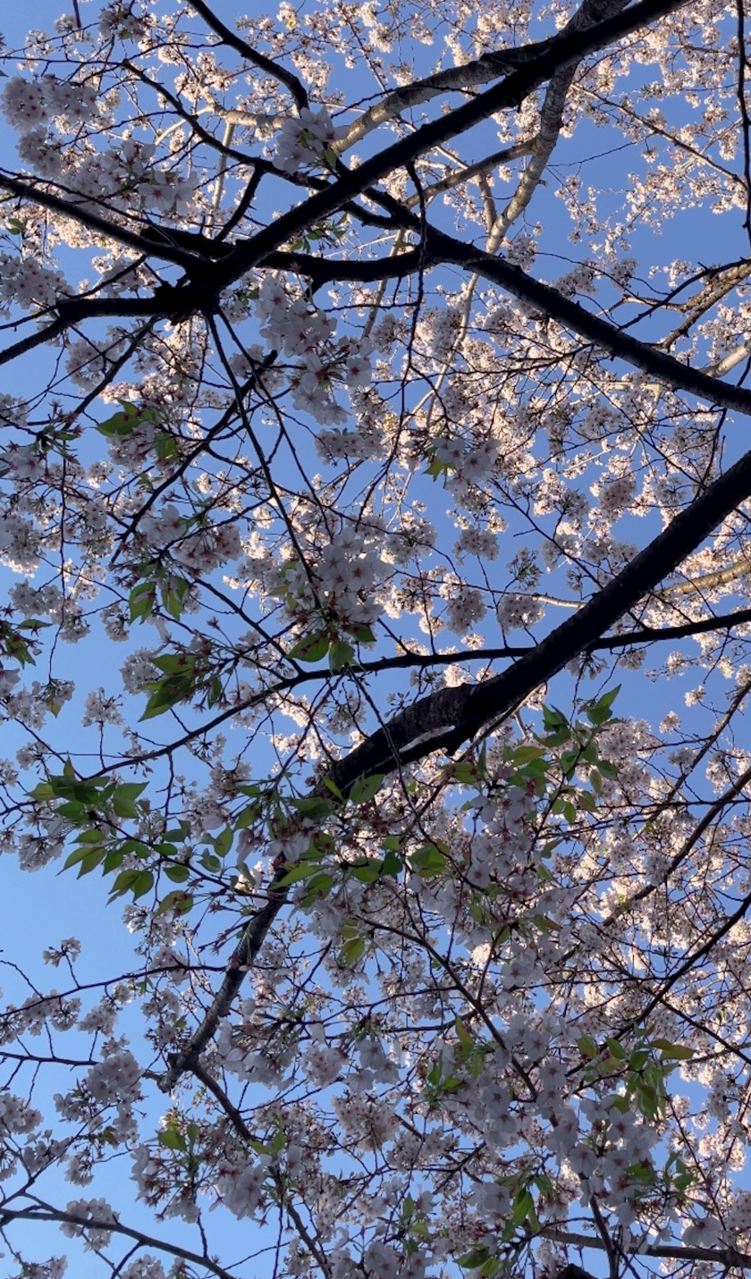 みなみ