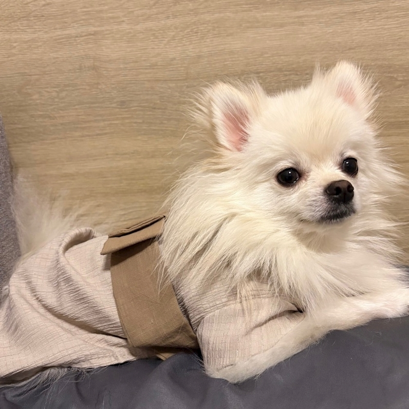 七瀬 なな