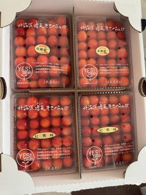 涼風 あき