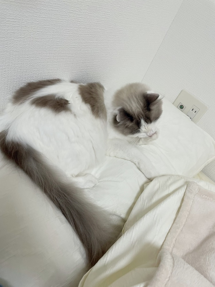 辻 みなみ