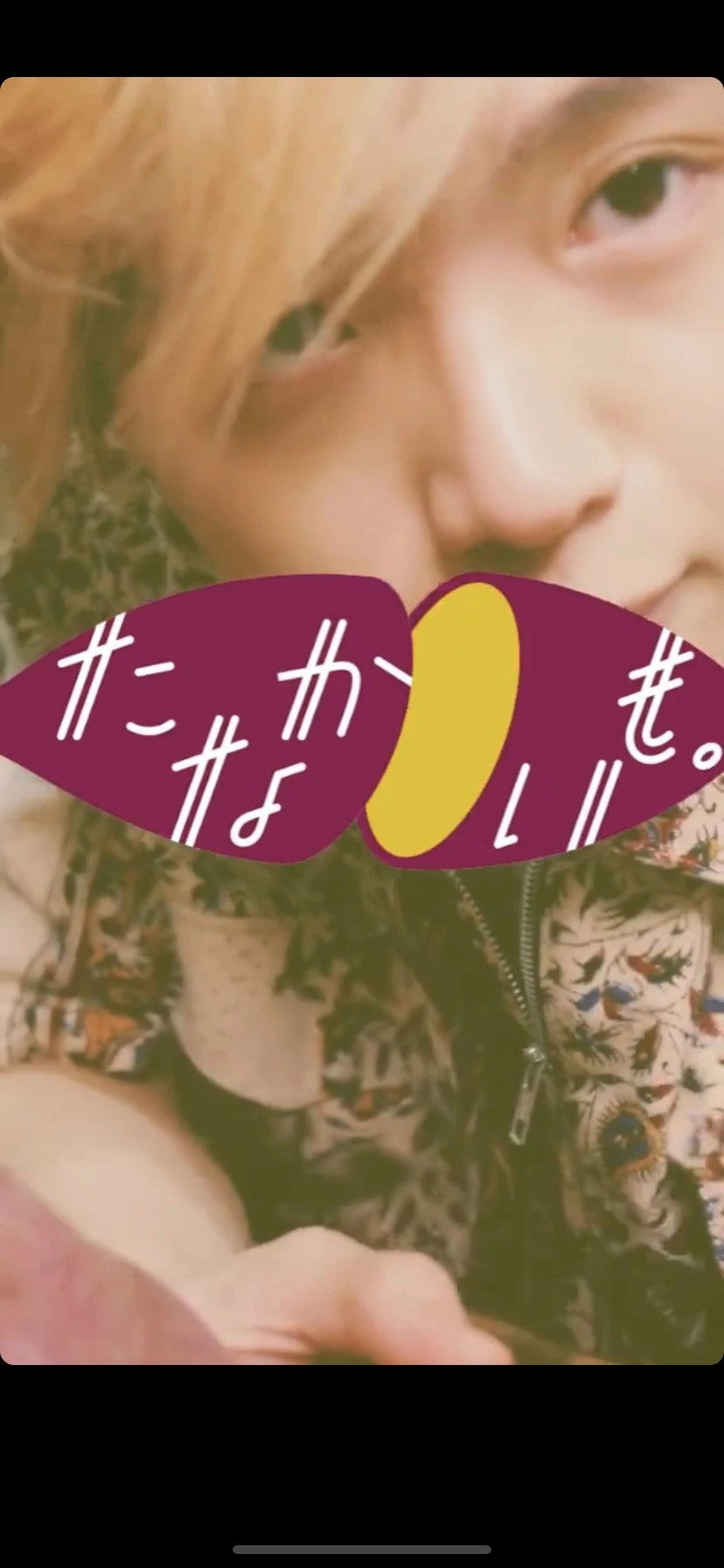七星 夏純