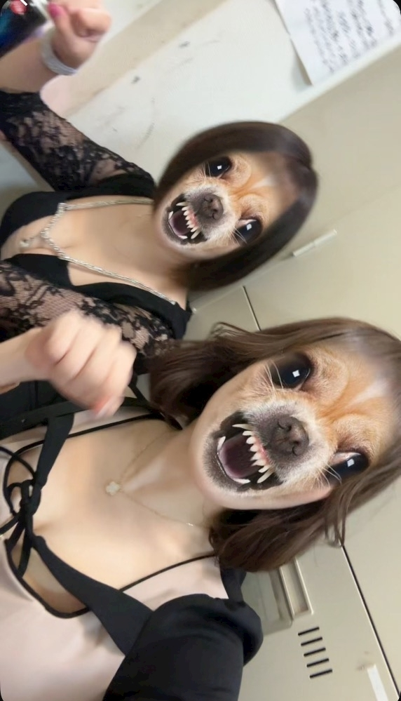 花宮 さくら