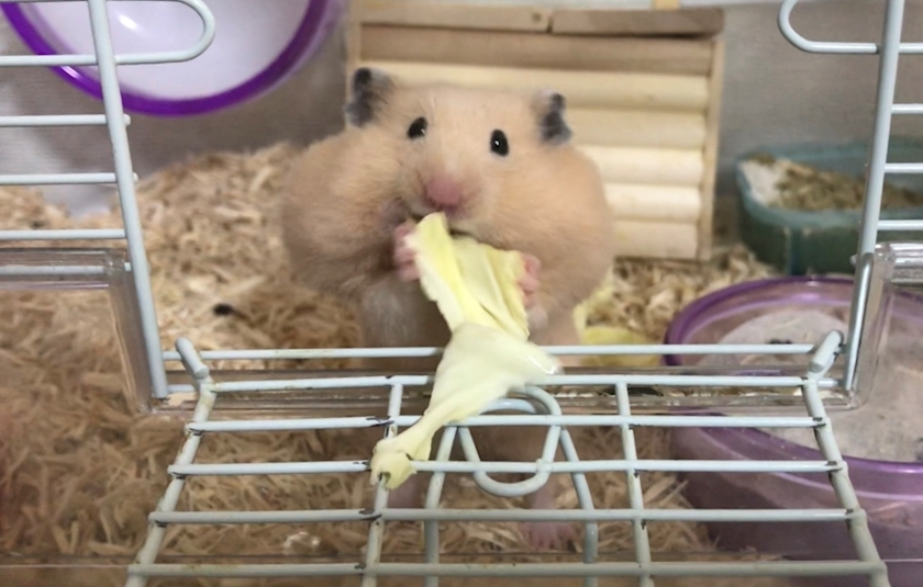 ユカ
