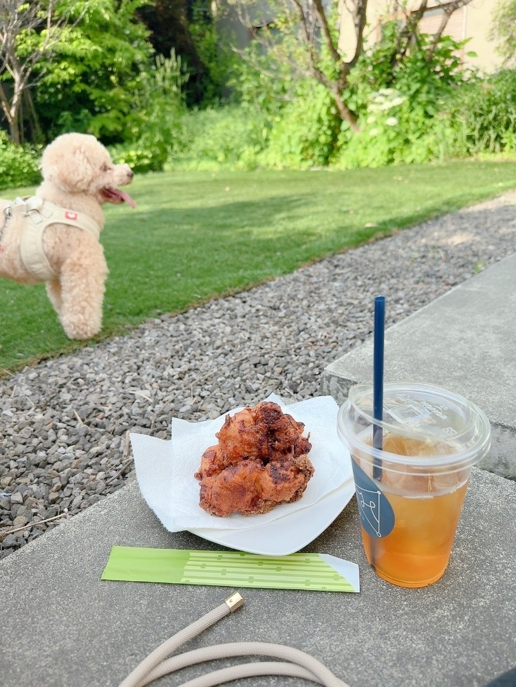 夏目 梨仔
