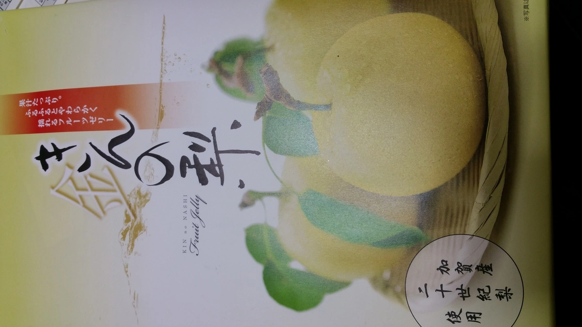 一条 まい