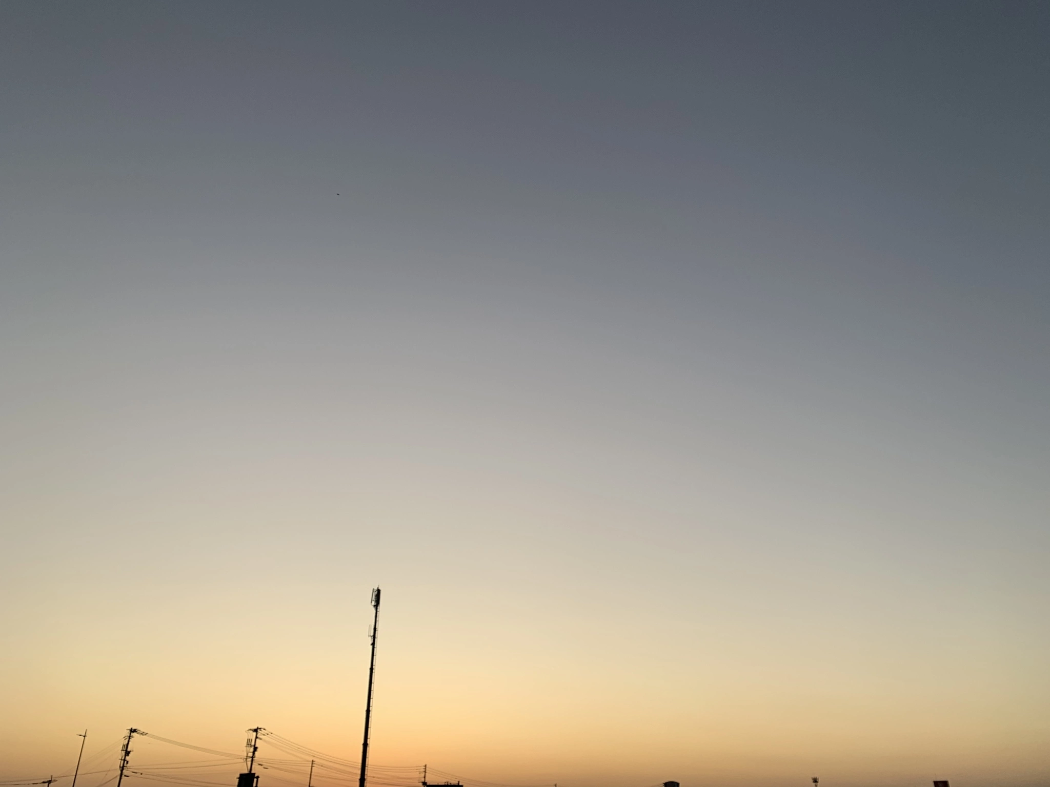 純
