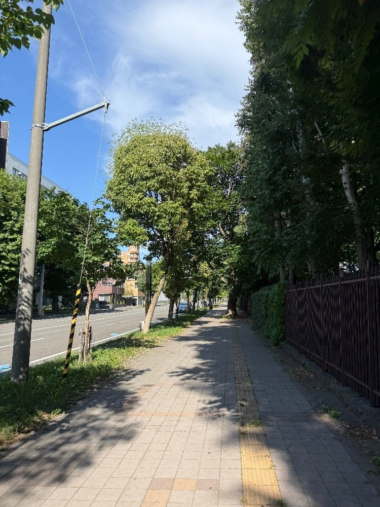 野本 明日香