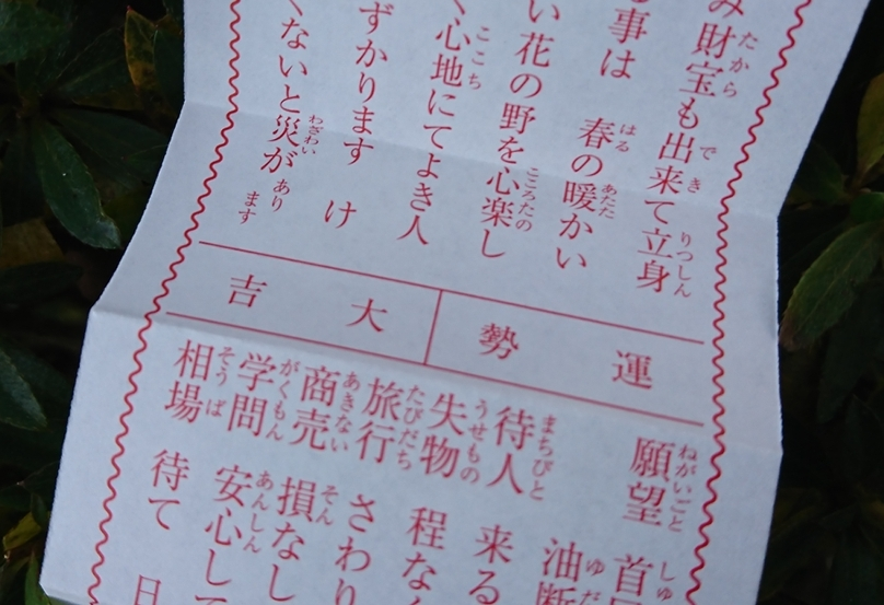 五条 椿