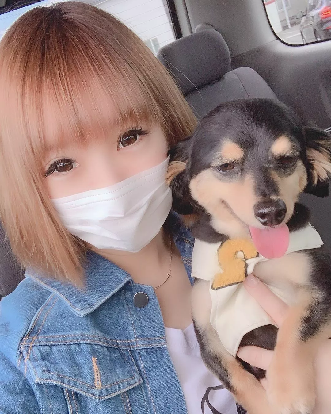 ありす