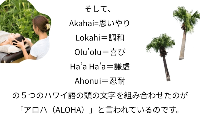 エリカ