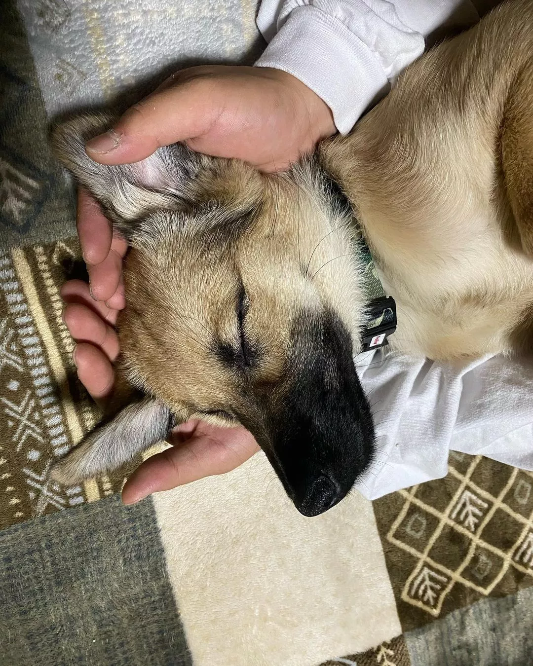みつき