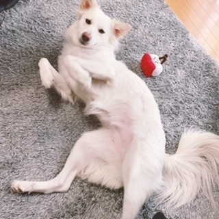 京 さゆみ