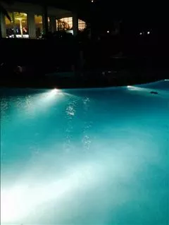 愛羽 仁美