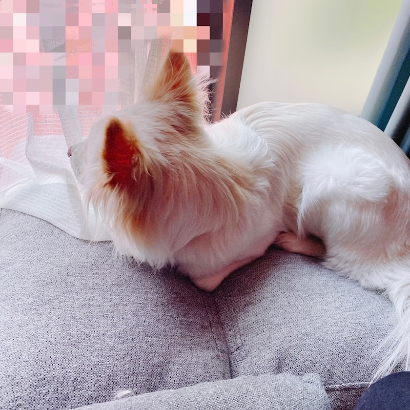 京 さゆみ