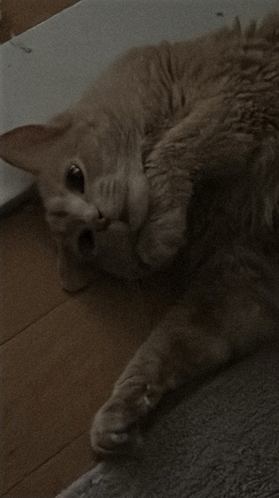 夜空 なみ