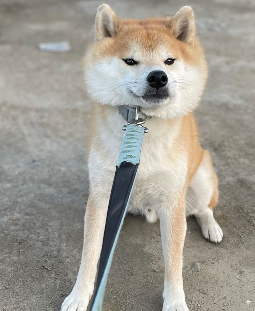 まこと