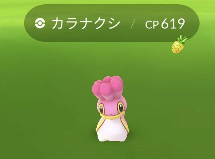 五条 椿