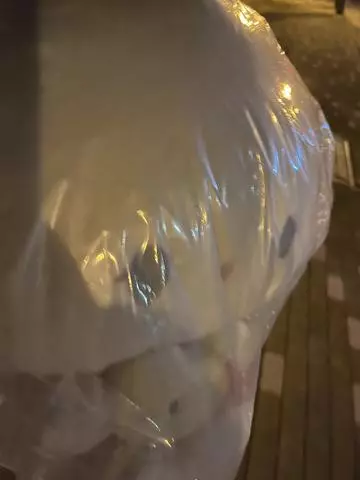 七星 夏純
