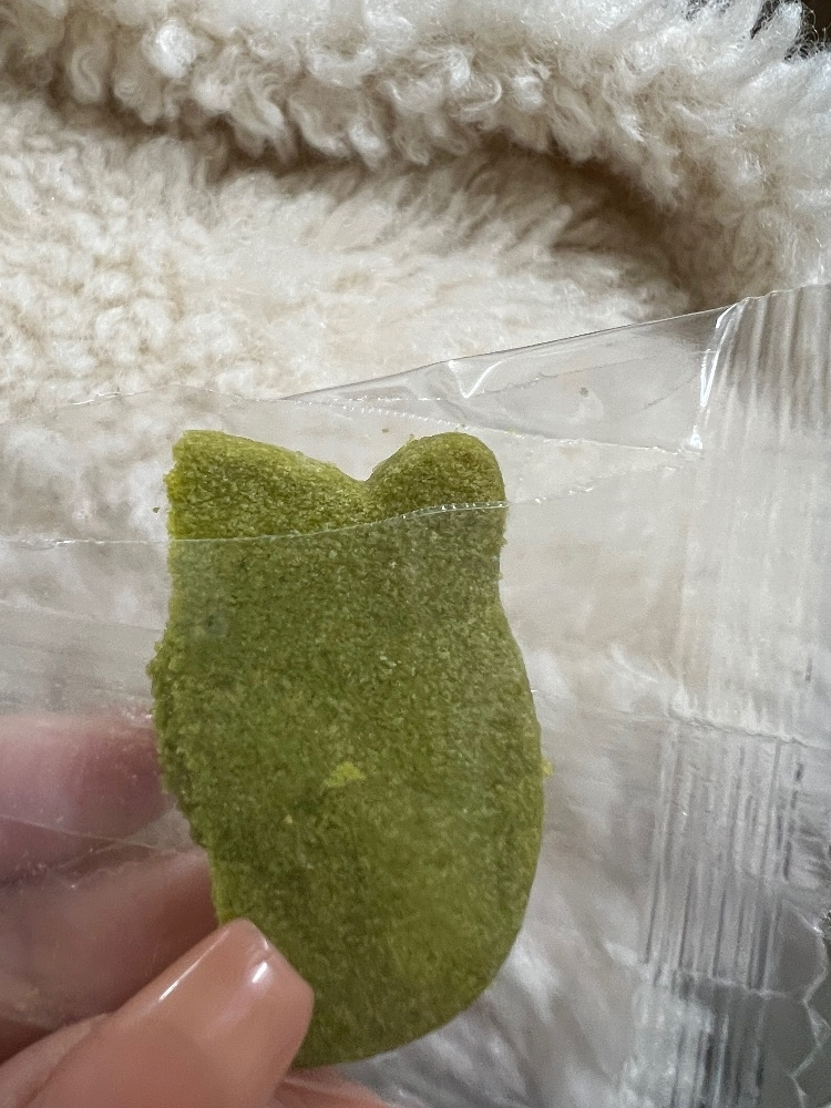 七星 舞冬