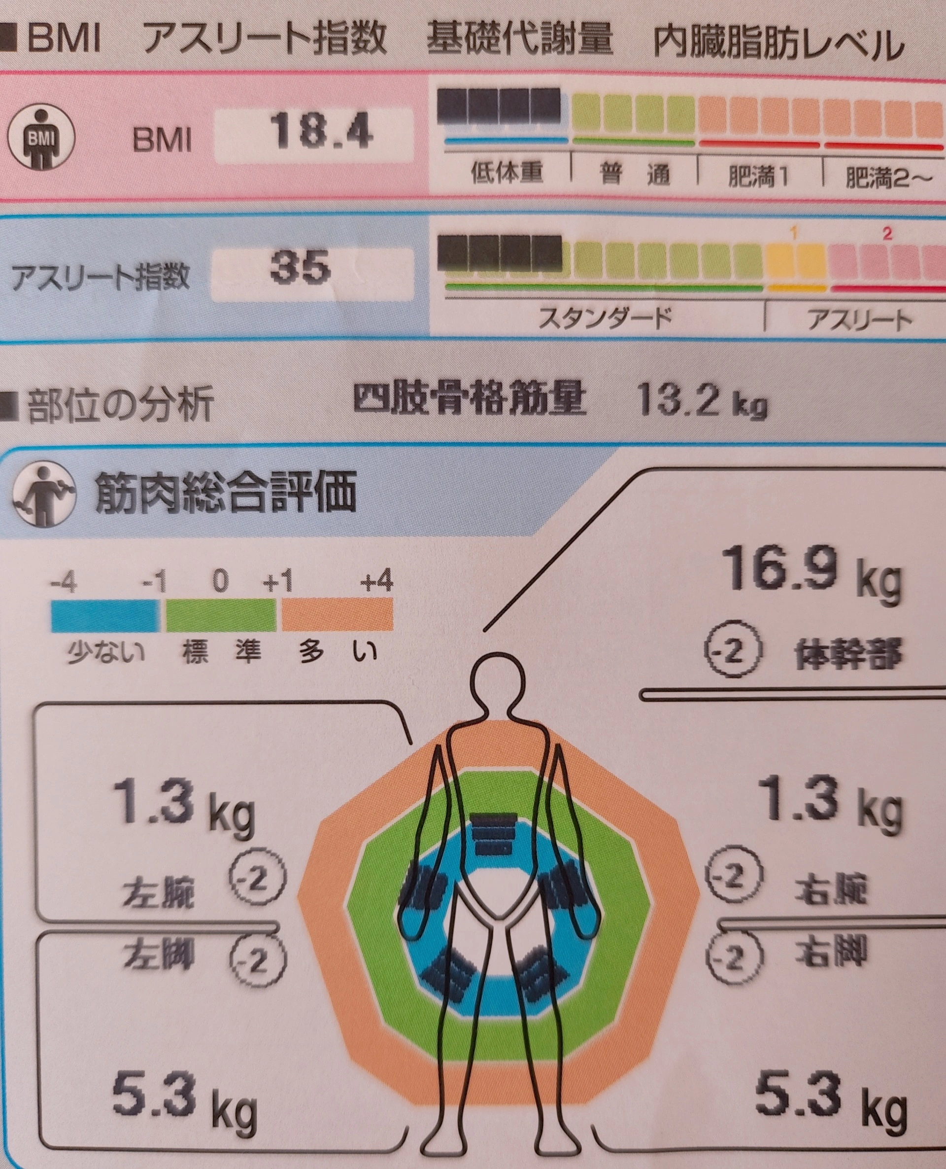 紫音