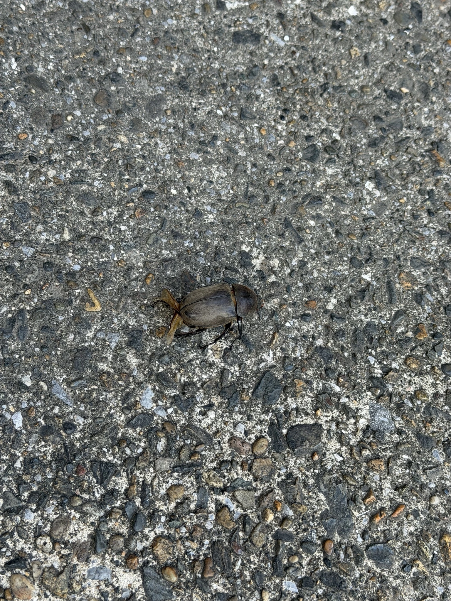 ちひろ